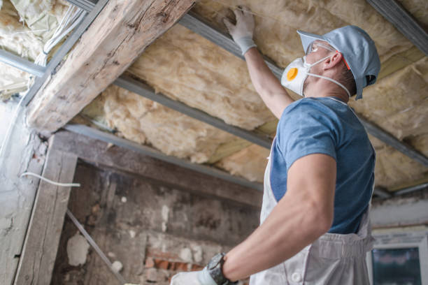 Best Insulation Maintenance and Repair in Granby, MO